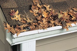 Clogged Gutters in San Antonio, TX